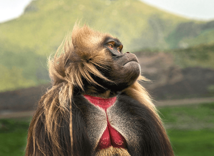 Camping & Wilderness