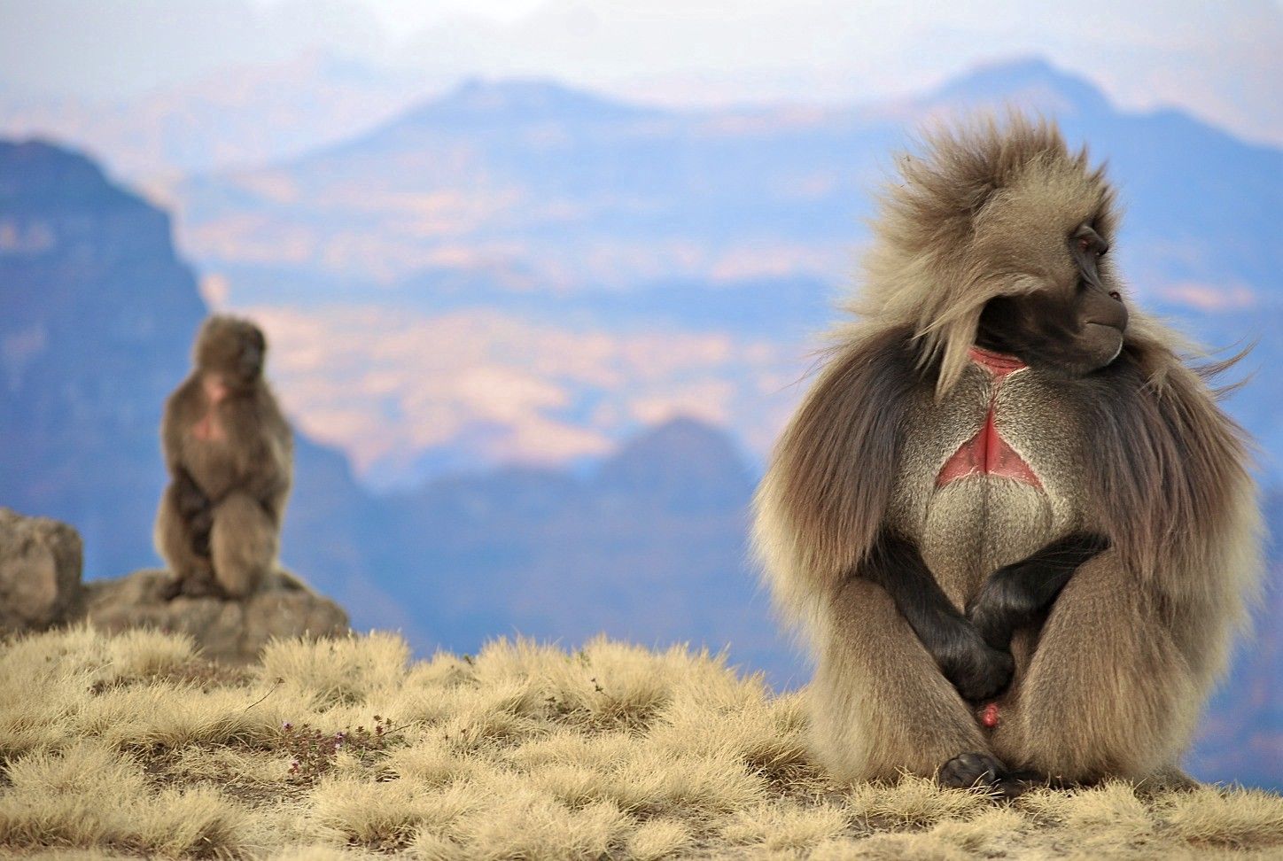 Traveling to Ethiopia in 2026: A Practical Guide to Gheralta